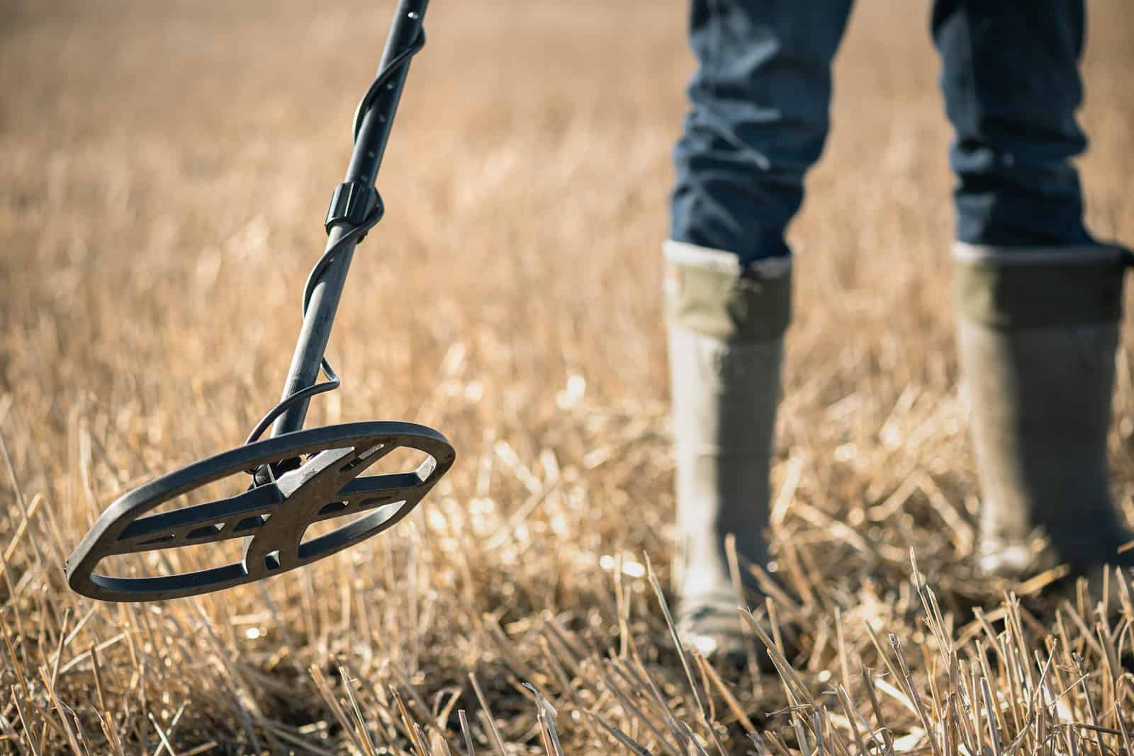 Can a Metal Detector Find Gold?